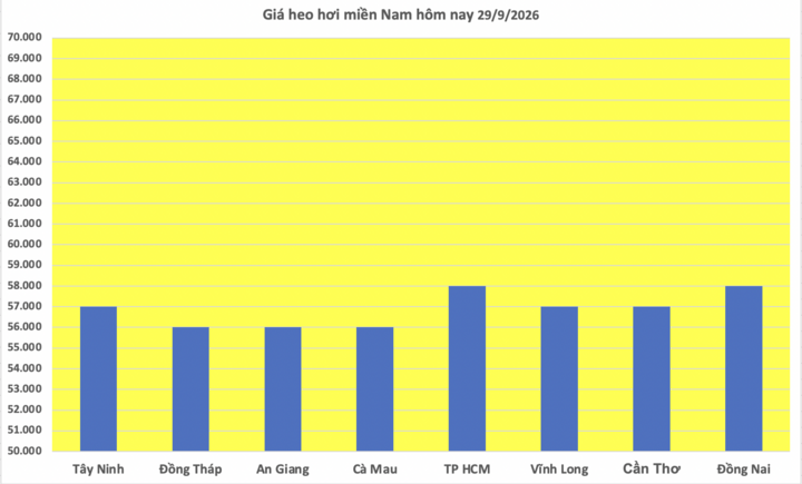 Giá heo hơi hôm nay 29/9/2026: Giảm diện rộng - 3