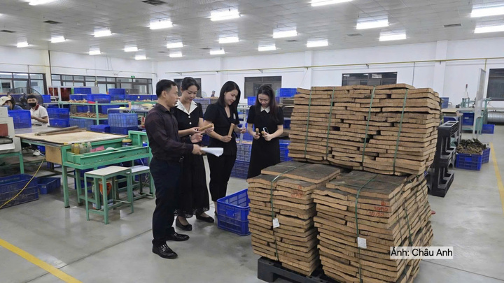 Đoàn công tác của Sở Công Thương Nghệ An làm việc với Công ty TNHH Great Longview Việt Nam về tình hình xuất khấu và xuất xứ hàng hóa.