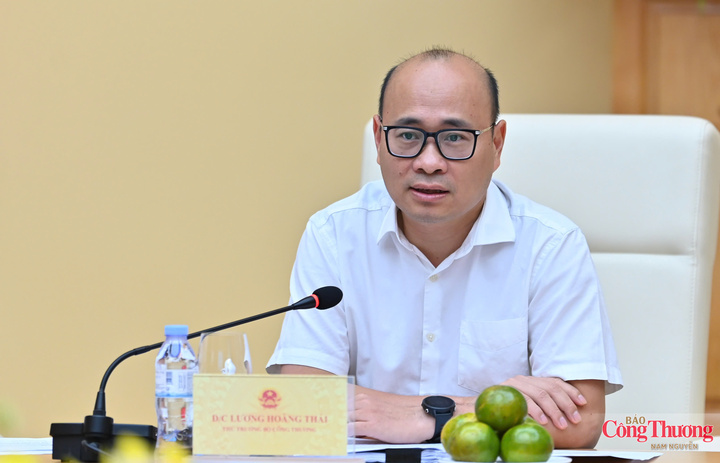 Thứ trưởng Bộ Công Thương Lương Hoàng Thái phát biểu khai mạc phiên họp.