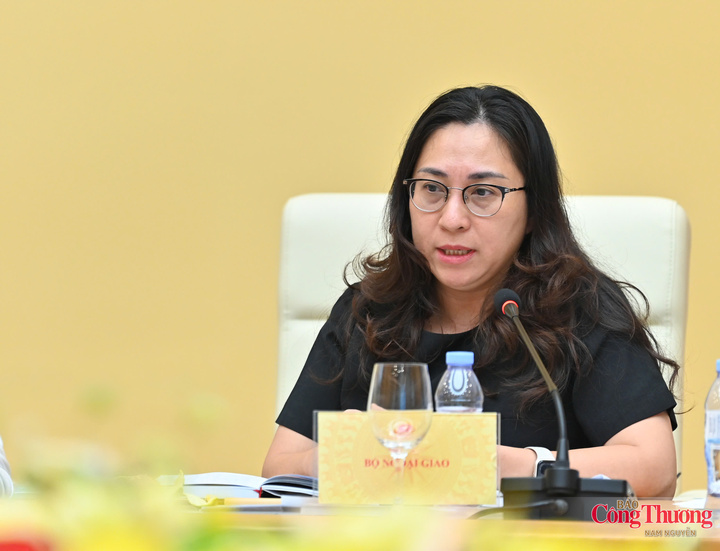 Đại diện Bộ Ngoại giao kiến nghị 7 nhóm nhiệm vụ, giải pháp triển khai chương trình.
