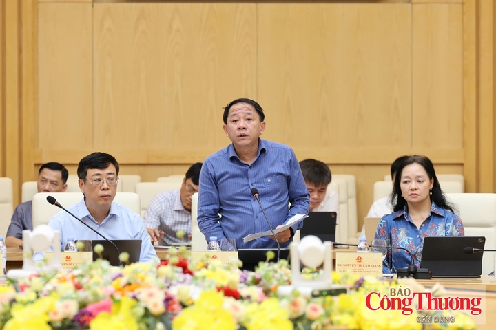 Ông Trần Thanh Tùng, Quyền Cục trưởng Cục Năng lượng - Dầu khí phát biểu tại hội nghị.