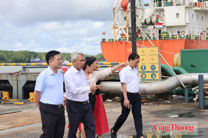 Đoàn thẩm định đã trực tiếp tham quan, khảo sát quy trình sản xuất tại Công ty Vedan Việt Nam.
