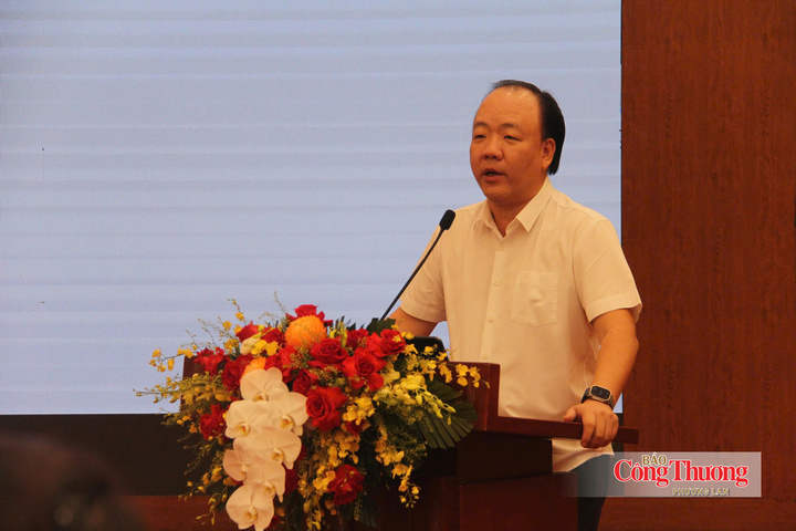 Ông Trần Hữu Linh phát biểu tại hội nghị