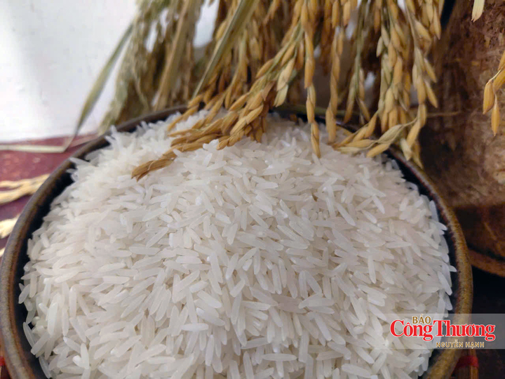 Thị trường gạo thế giới đang bước vào giai đoạn có nhiều biến động về cung cầu, giá cả và dòng chảy thương mại.