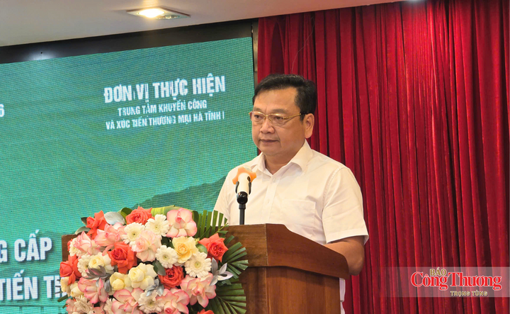 Phó Chủ tịch UBND tỉnh Hà Tĩnh Hồ Huy Thành phát biểu.