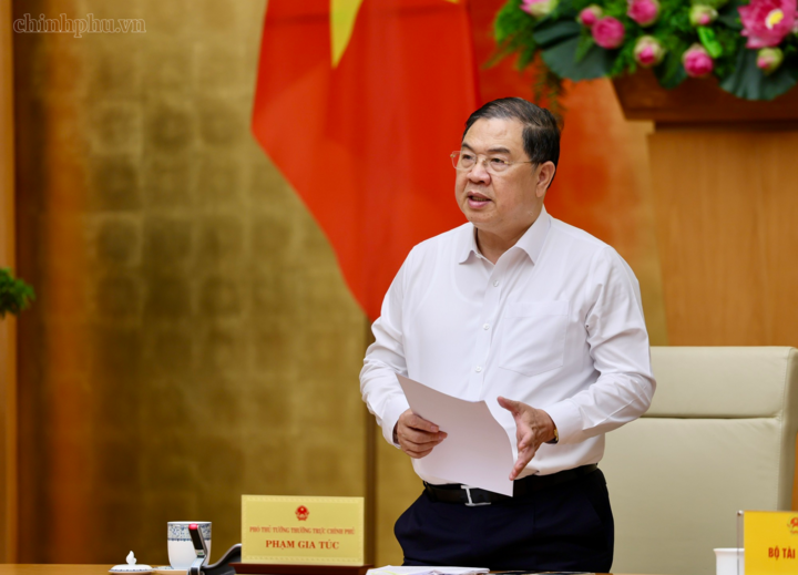 Phó Thủ tướng Thường trực Chính phủ Phạm Gia Túc phát biểu kết luận cuộc họp của Ban Chỉ đạo - Ảnh: chinhphu.vn/Phương Nguyên