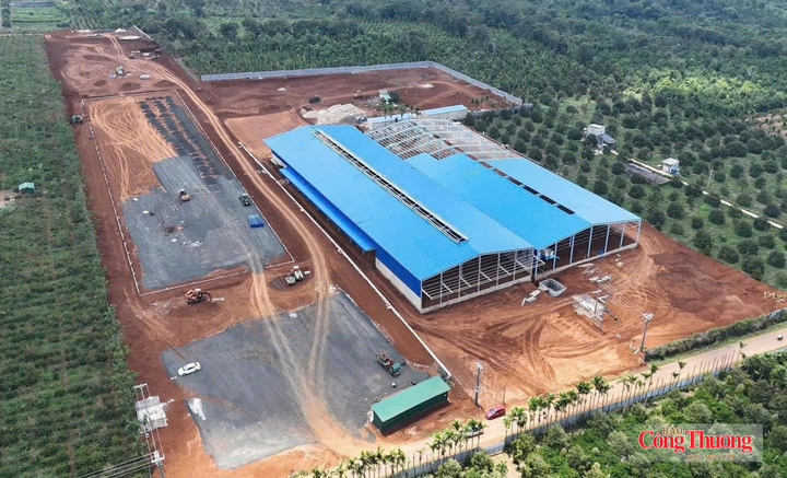 20/21 kho xưởng sầu riêng tại xã Cuôr Đăng không phù hợp với quy hoạch đất đai.