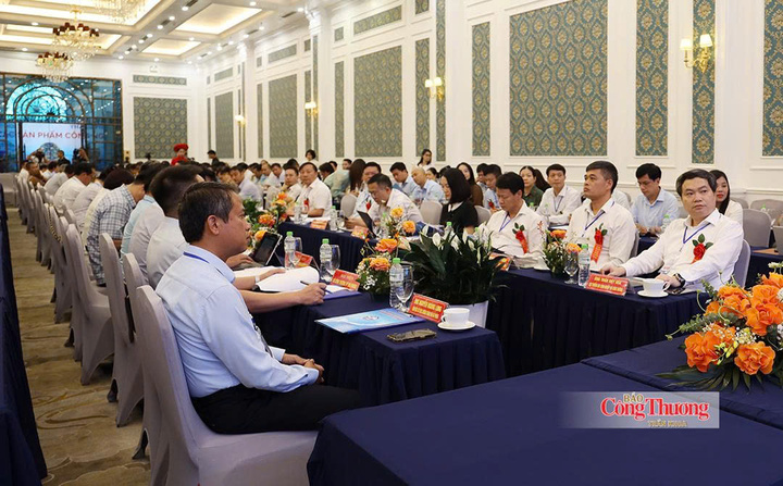 Đại biểu tham dự hội nghị.
