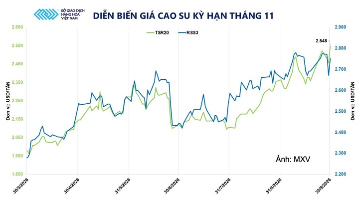 Diễn biến giá cao su kỳ hạn tháng 11