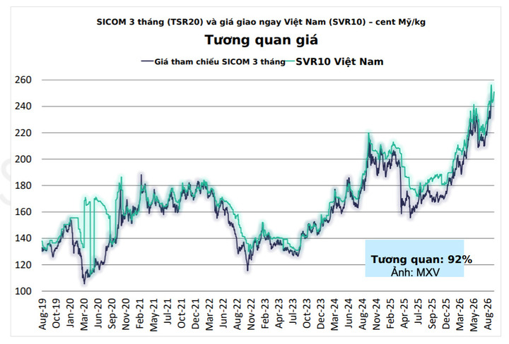 Tương quan giá giữa SICOM TSR20 và SVR10 Việt Nam
