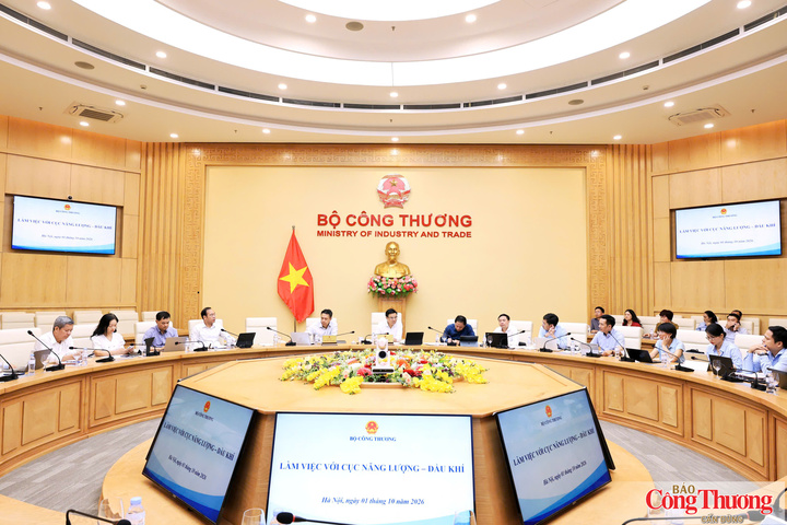 Các đại biểu tham dự buổi làm việc.