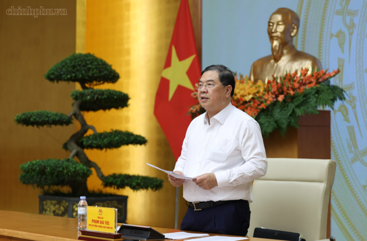 Phó Thủ tướng Thường trực Phạm Gia Túc phát biểu tại cuộc họp - Ảnh: chinhphu.vn/Phương Nguyên