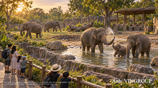 Những cuộc gặp gỡ gần gũi tại Safari giúp du khách tìm hiểu tập tính các loài, học cách tôn trọng, chăm sóc và bảo vệ động vật.