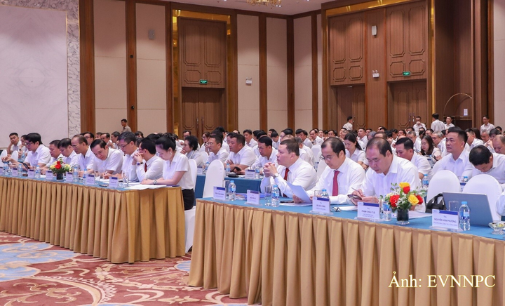 Các đại biểu tham dự hội nghị.
