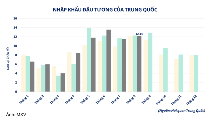 Nhập khẩu đậu tương của Trung Quốc.