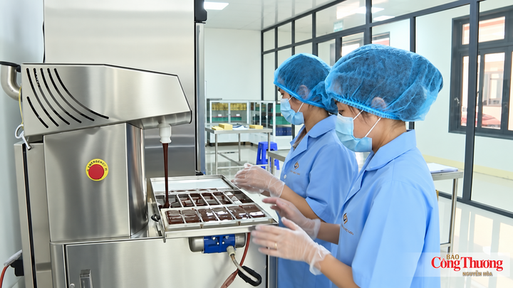 Sản xuất bền vững góp phần bảo vệ môi trường.