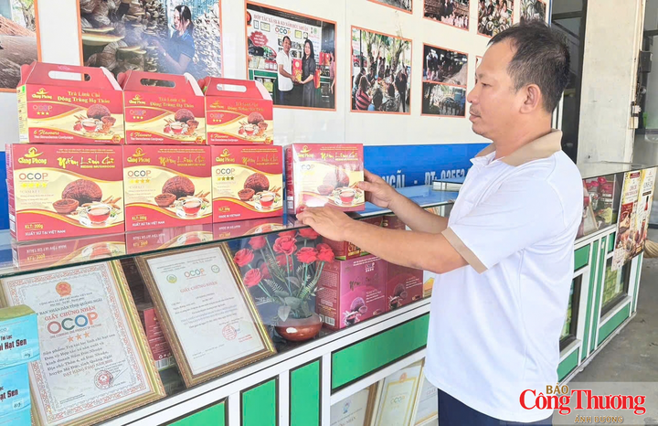 Đa dạng hóa sản phẩm, mở rộng thị trường tiêu thụ đã giúp nhiều hợp tác xã phát triển mạnh mẽ.