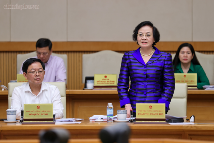 Phó Thủ tướng Phạm Thị Thanh Trà phát biểu tại phiên họp. Ảnh: chinhphu.vn/Nhật Bắc