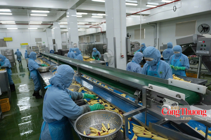 Chế biến nông sản tại Công ty Cổ phần Viên Sơn, xã Hiệp Thạnh, tỉnh Lâm Đồng.
