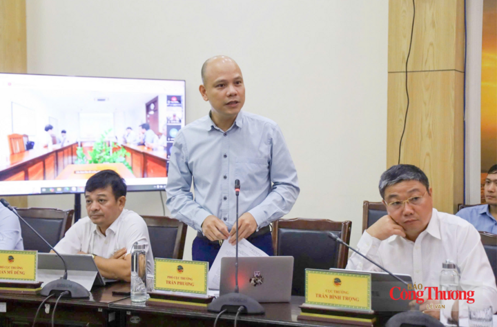 Phó Cục trưởng Cục Địa chất và Khoáng sản Việt Nam Trần Phương báo cáo tại buổi làm việc.