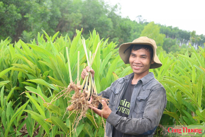 Mạnh dạn bỏ tư duy cũ để tìm hướng đi thích hợp đã giúp người dân cải thiện được kinh tế một cách ổn định