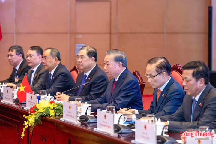 Đoàn đại biểu cấp cao Việt Nam tham dự hội đàm.