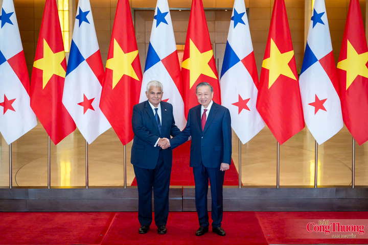 Tổng Bí thư, Chủ tịch nước Tô Lâm và Tổng thống nước Cộng hòa Panama José Raúl Mulino chụp ảnh tại sảnh Nhà Quốc hội.