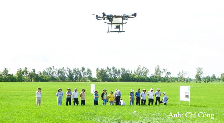Nông dân An Giang sử dụng drone trong sản xuất nông nghiệp.