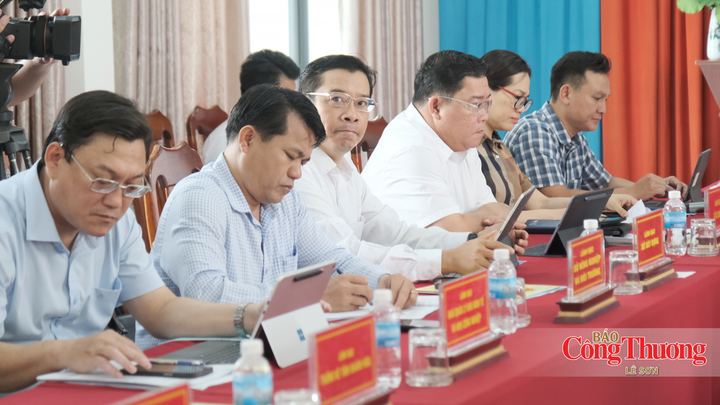 Đại diện lãnh đạo các sở, ngành tham dự buổi làm việc.