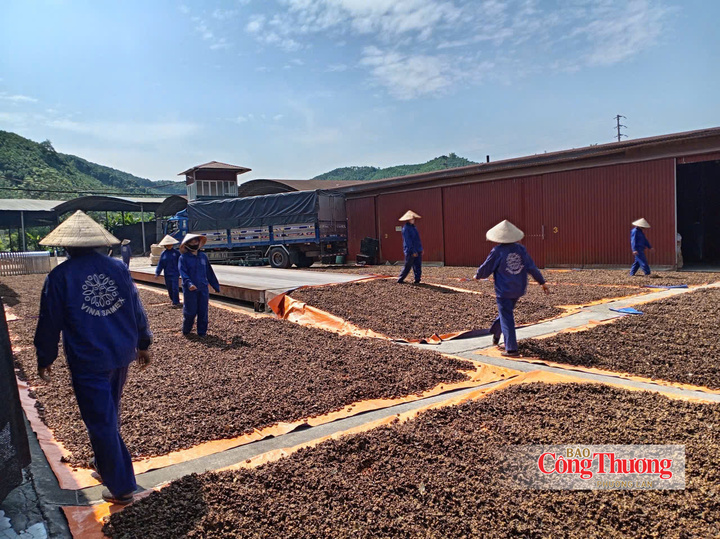Vinasamex giúp nâng cao sinh kế cho bà con đồng bào dân tộc thiểu số