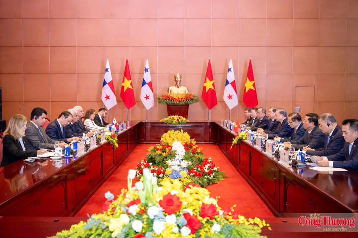Tổng Bí thư, Chủ tịch nước Tô Lâm và Tổng thống Panama José Raúl Mulino hội đàm.