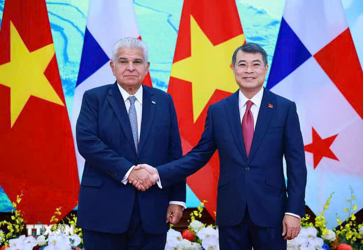 Thủ tướng Lê Minh Hưng hội kiến Tổng thống Cộng hòa Panama José Raúl Mulino. Ảnh: Dương Giang/TTXVN