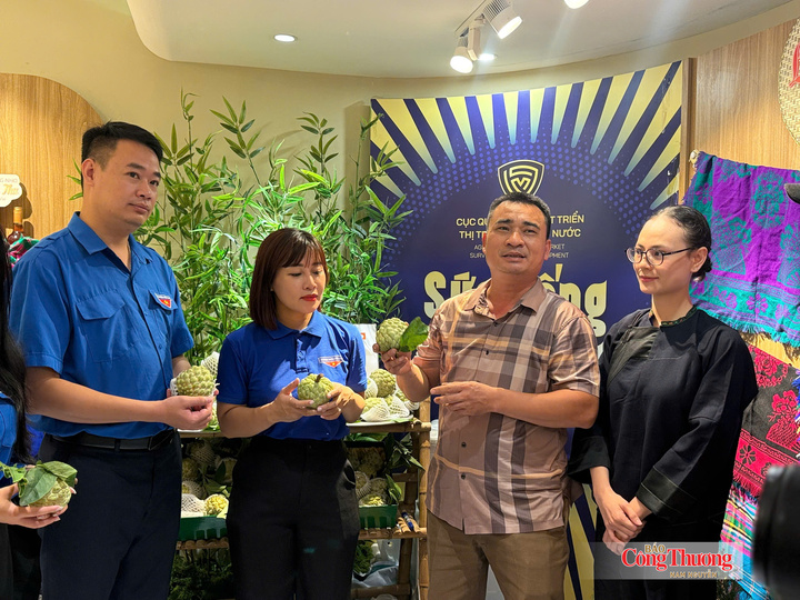 Đưa hàng Việt lên phố 'hàng hiệu': Từ sức mua đến niềm tin người tiêu dùng - 1