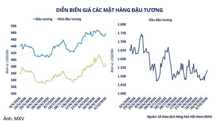 Diễn biến giá nhóm họ đậu