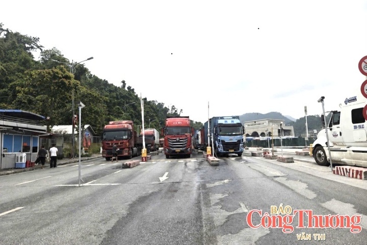 Xúc tiến thương mại khu vực biên giới định hướng chuyển từ giao thương cửa khẩu sang kết nối thị trường và chuỗi giá trị bền vững.