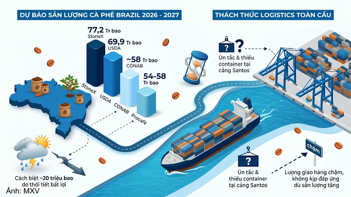 Dự báo sản lượng cà phê Brazil.