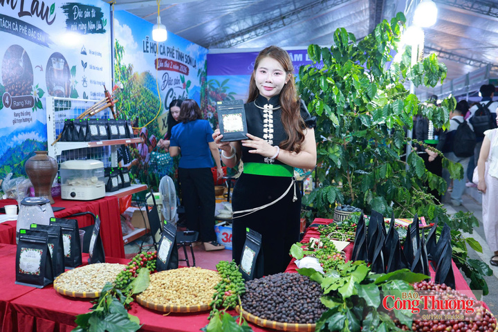 Một số sản phẩm cà phê đặc trưng của tỉnh Sơn La sẽ được giới thiệu tại Lễ hội Cà phê Sơn La lần thứ II năm 2026.