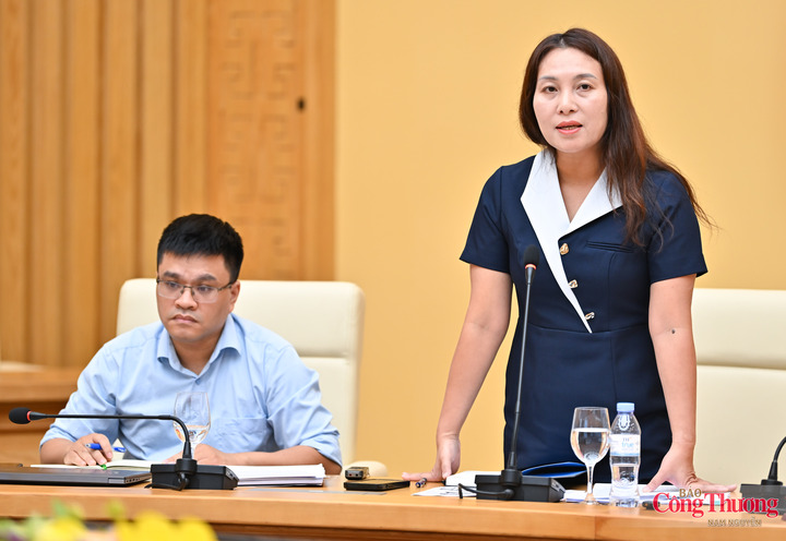 Đại diện Cục Xuất nhập khẩu giới thiệu những nội dung chủ yếu của Dự thảo Chiến lược xuất nhập khẩu hàng hóa đến năm 2030, tầm nhìn đến năm 2045.