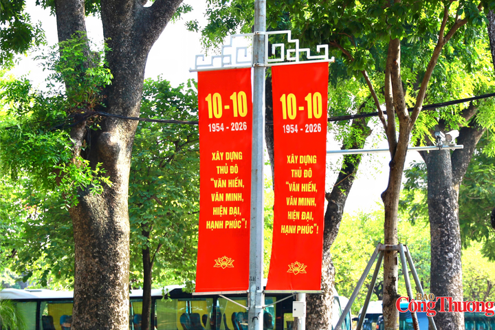 Những dải băng rôn đỏ nổi bật giữa vòm cây xanh, dưới nắng thu Hà Nội. Ảnh: Thanh Huyền