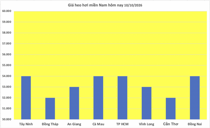 Giá heo hơi hôm nay 10/10/2026: Biến động trái chiều - 3