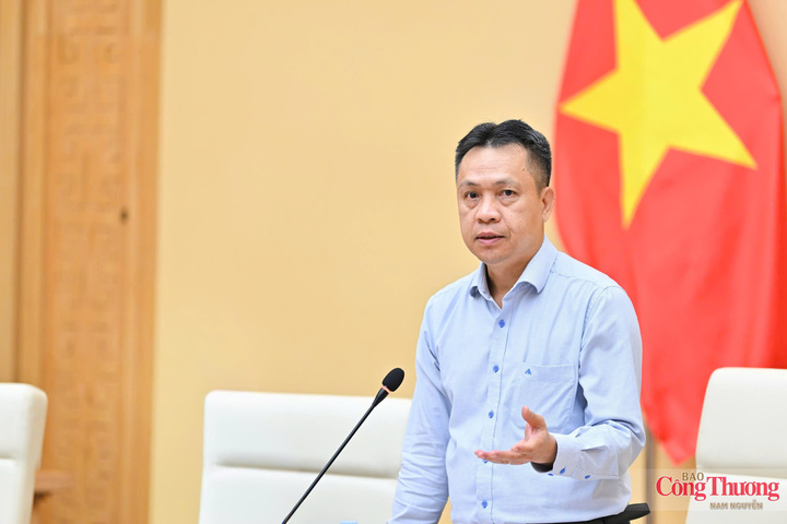 Thứ trưởng Bộ Công Thương Nguyễn Việt Sơn phát biểu kết luận hội nghị