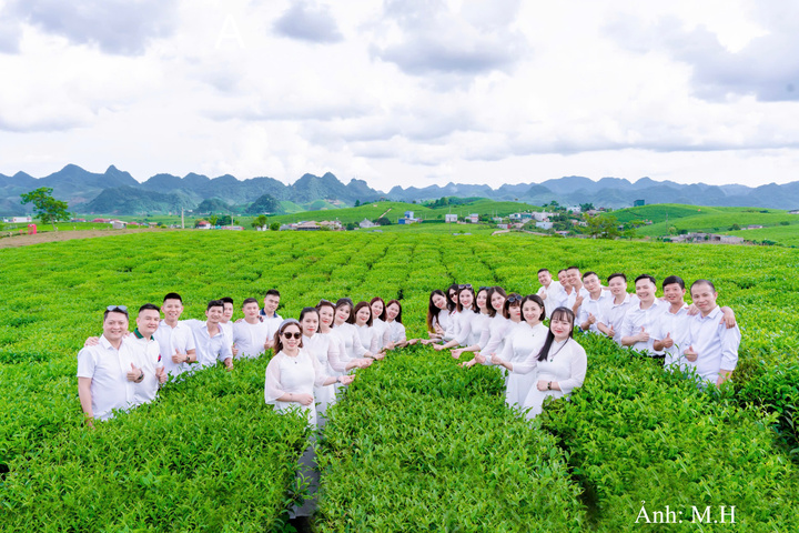 Khách du lịch đến với Mocha Hill trải nghiệm, thăm quan các đồi chè