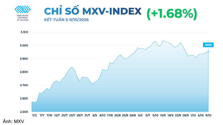 Chỉ số MXV-index.