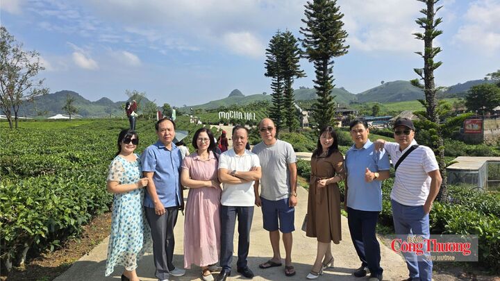 Du khách đến với Mocha Hill ngày càng đông đảo