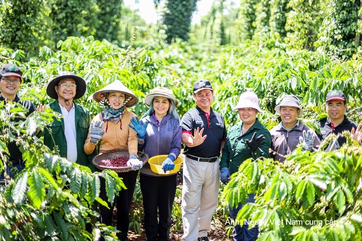 Chương trình NESCAFÉ Plan của Nestlé Việt Nam đồng hành cùng hơn 23.000 hộ nông dân Tây Nguyên phát triển canh tác bền vững theo hướng nông nghiệp tái sinh.
