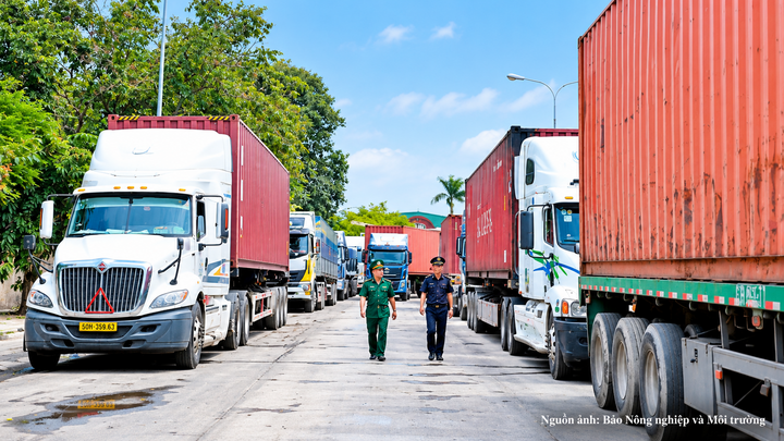 Mộc Bài là một trong những cửa khẩu có môi trường giao dịch minh bạch, thủ tục nhanh gọn và chi phí hợp lý.