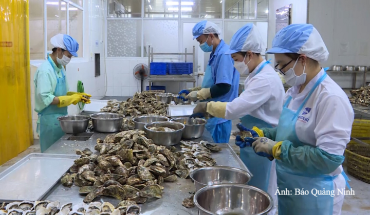 Mở rộng thị trường tiêu thụ là một trong những nhiệm vụ quan trọng đối với doanh nghiệp sản xuất hàng hóa địa phương.