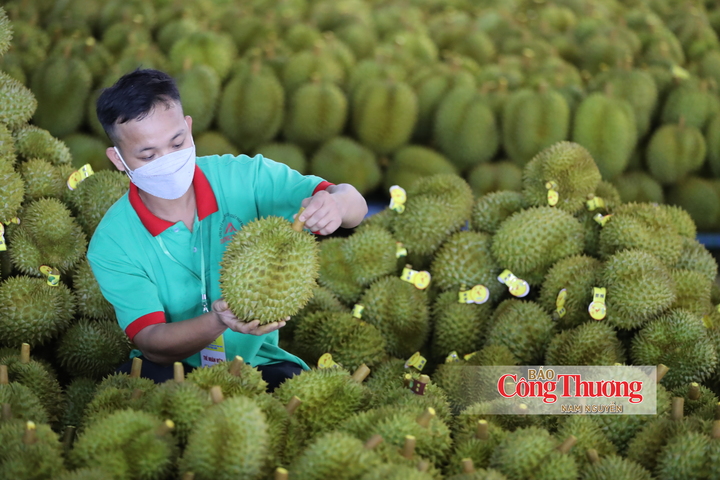 Hiệp định RCEP thiết lập thị trường xuất khẩu ổn định lâu dài cho hàng hóa xuất khẩu Việt Nam.