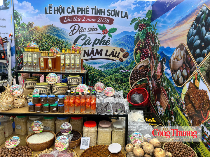 Nâng tầm thương hiệu cà phê Việt từ những kết nối vùng miền.