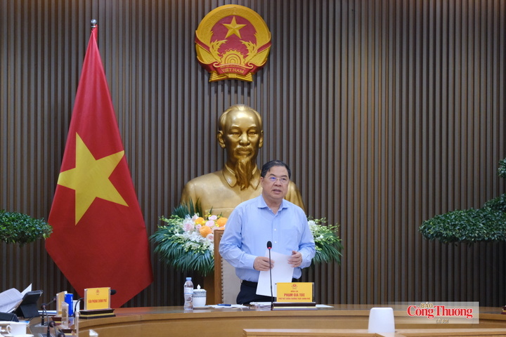 Phó Thủ tướng Thường trực Chính phủ Phạm Gia Túc phát biểu.